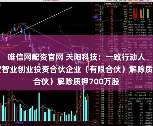 唯信网配资官网 天阳科技：一致行动人连云港皓宏智业创业投资合伙企业（有限合伙）解除质押700万股