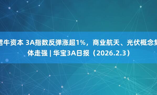 珺牛资本 3A指数反弹涨超1%，商业航天、光伏概念集体走强 | 华宝3A日报（2026.2.3）