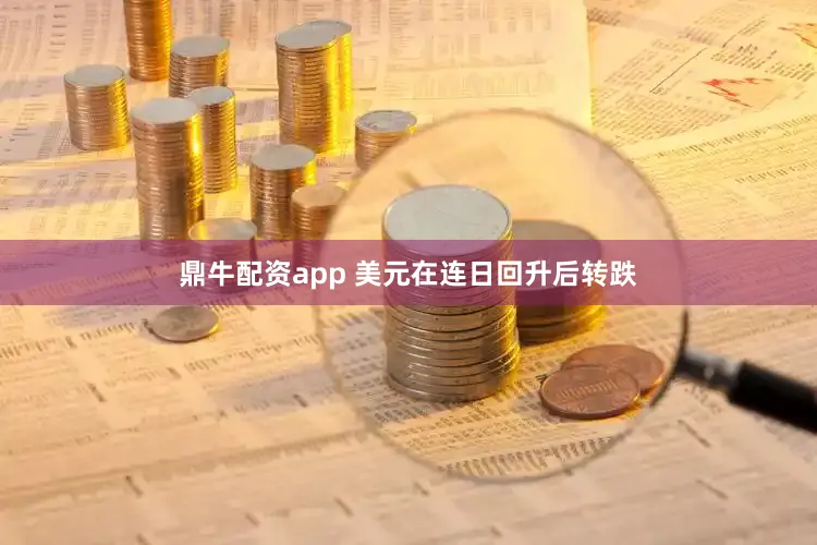 鼎牛配资app 美元在连日回升后转跌