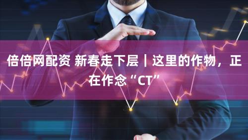 倍倍网配资 新春走下层｜这里的作物，正在作念“CT”