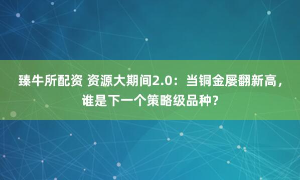 臻牛所配资 资源大期间2.0:当铜金屡翻新高,谁是下一个策略级品种?