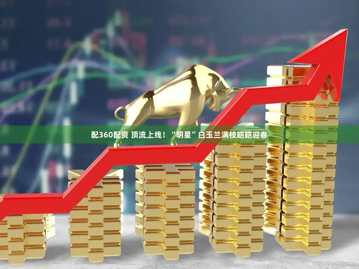 配360配资 顶流上线!“明星”白玉兰满枝皑皑迎春