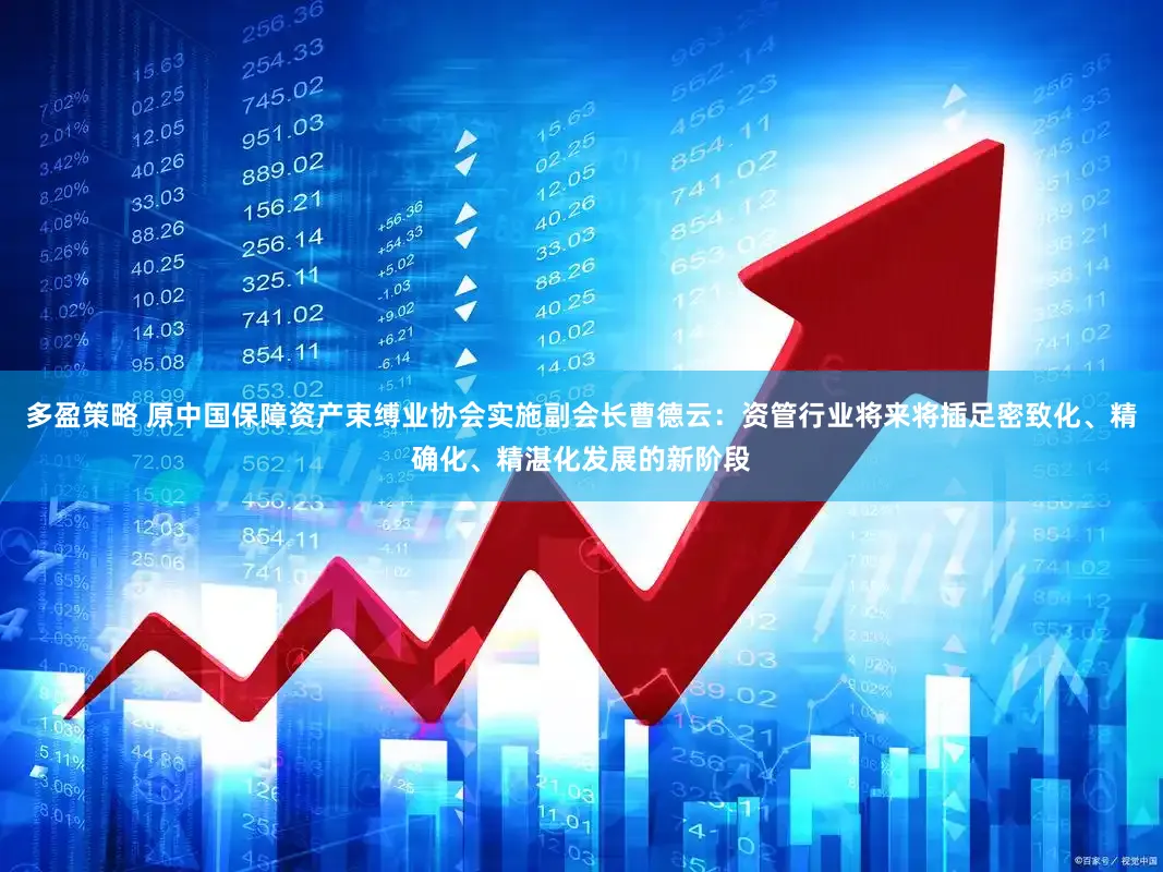 多盈策略 原中国保障资产束缚业协会实施副会长曹德云：资管行业将来将插足密致化、精确化、精湛化发展的新阶段