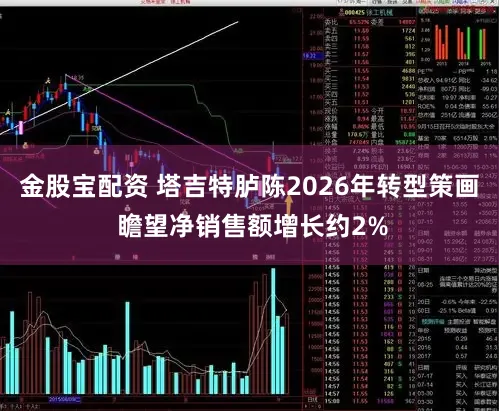 金股宝配资 塔吉特胪陈2026年转型策画 瞻望净销售额增长约2%