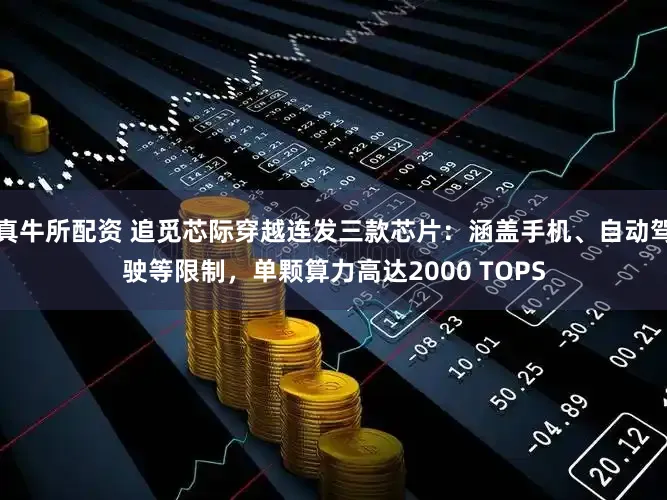 真牛所配资 追觅芯际穿越连发三款芯片:涵盖手机、自动驾驶等限制,单颗算力高达2000 TOPS