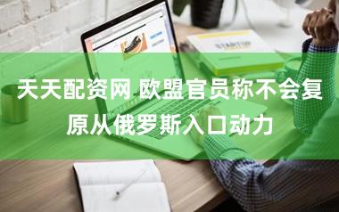 天天配资网 欧盟官员称不会复原从俄罗斯入口动力