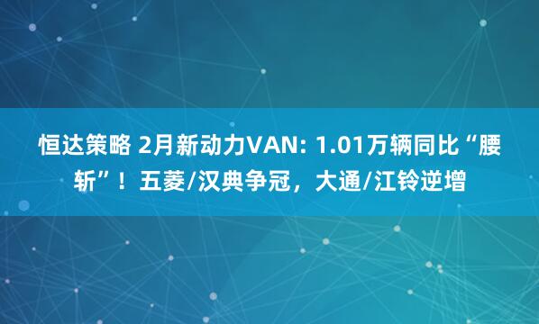 恒达策略 2月新动力VAN: 1.01万辆同比“腰斩”!五菱/汉典争冠,大通/江铃逆增