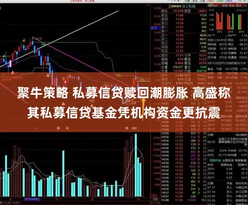 聚牛策略 私募信贷赎回潮膨胀 高盛称其私募信贷基金凭机构资金更抗震