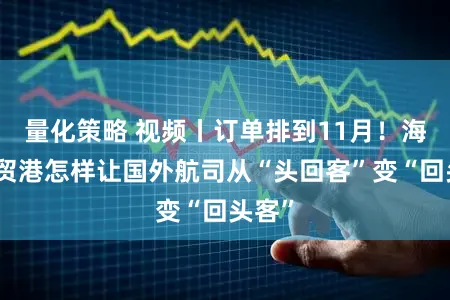 量化策略 视频丨订单排到11月！海南自贸港怎样让国外航司从“头回客”变“回头客”