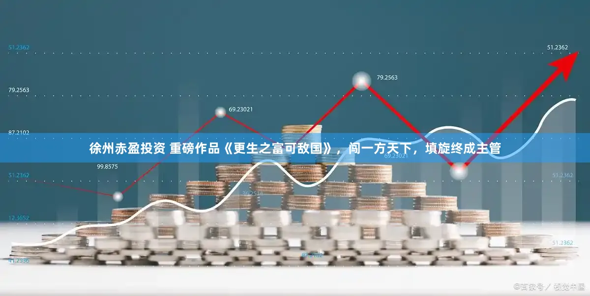 徐州赤盈投资 重磅作品《更生之富可敌国》，闯一方天下，填旋终成主管