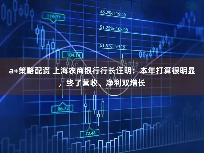a+策略配资 上海农商银行行长汪明：本年打算很明显，终了营收、净利双增长