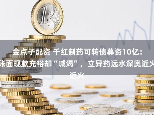 金点子配资 千红制药可转债募资10亿：账面现款充裕却“喊渴”，立异药远水深奥近火